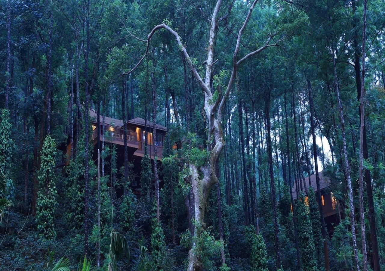 The Tamara Coorg Hotel Kakkabe Exterior photo